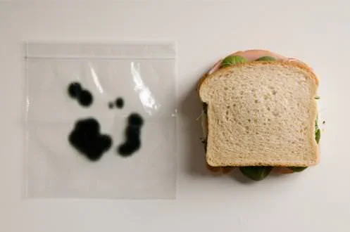 Bolsas anti-robo para la comida