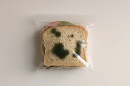 Bolsas anti-robo para la comida