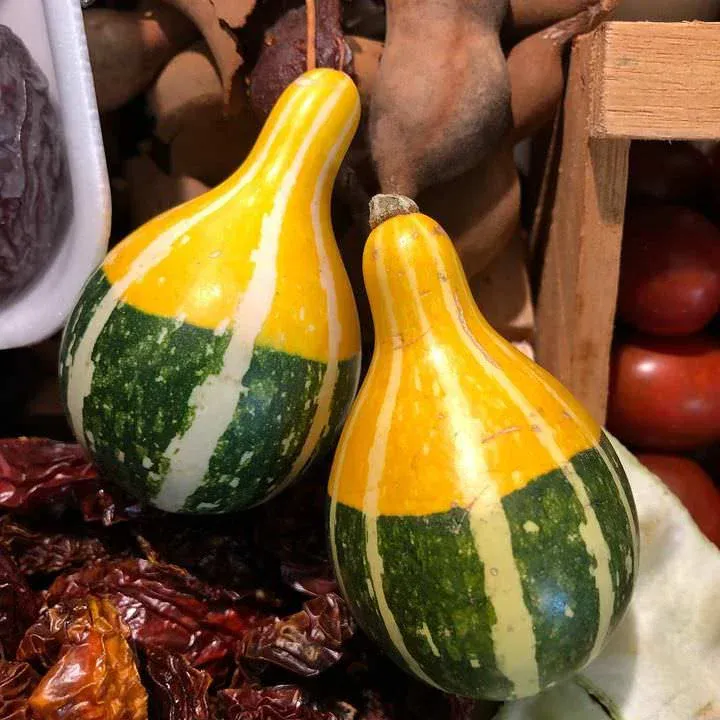 Las excentricidades de la naturaleza