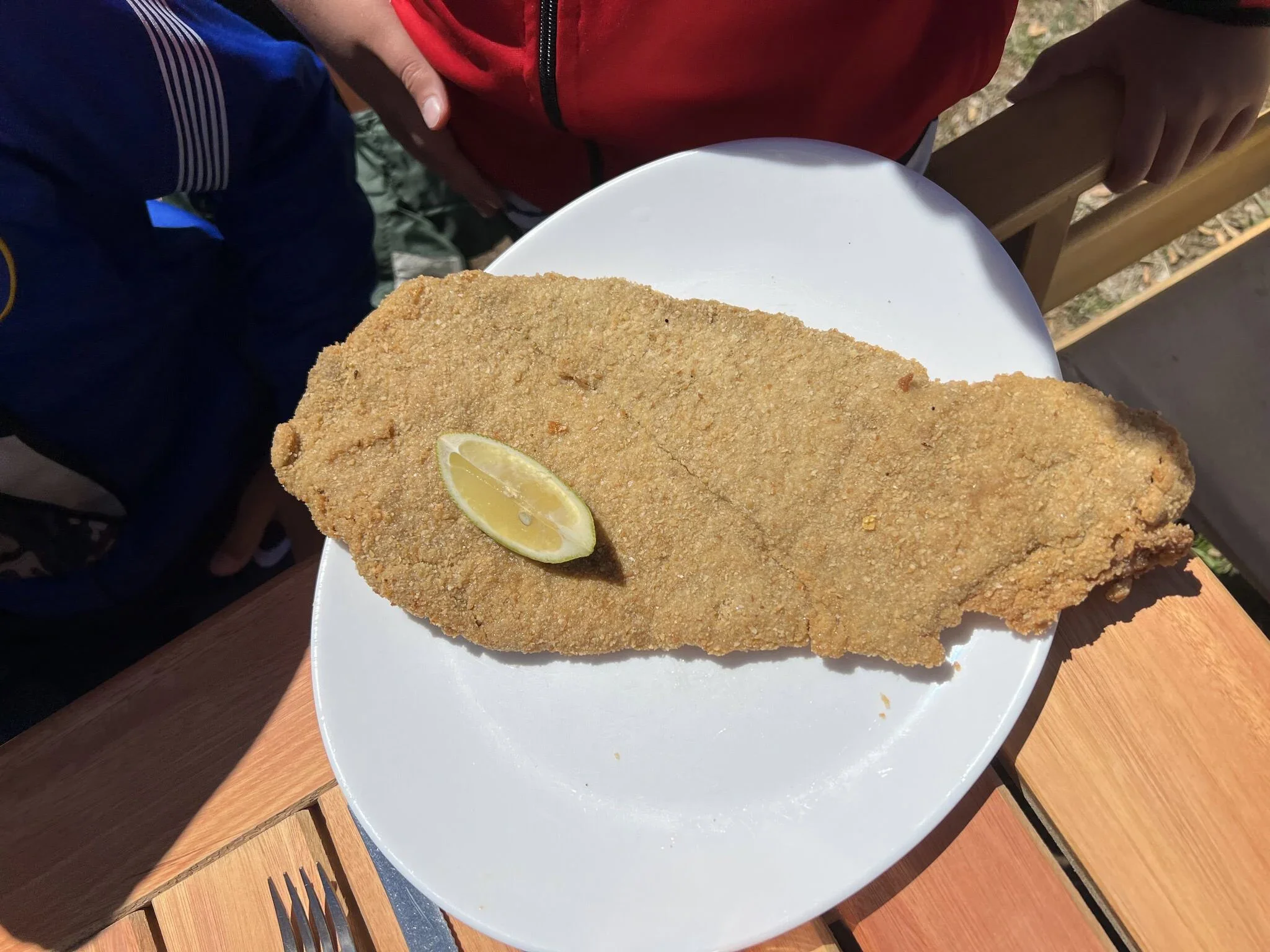 Milanesa Viejo Coihue