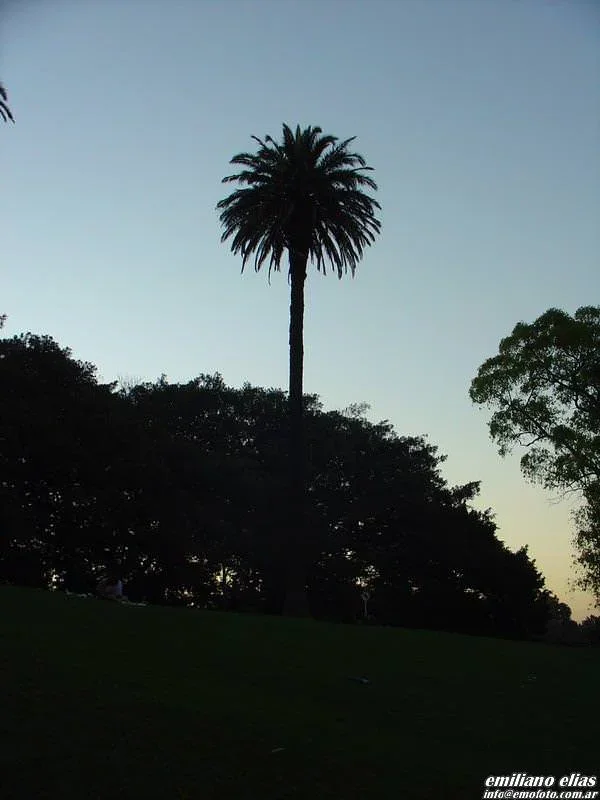 Cementero de Recoleta